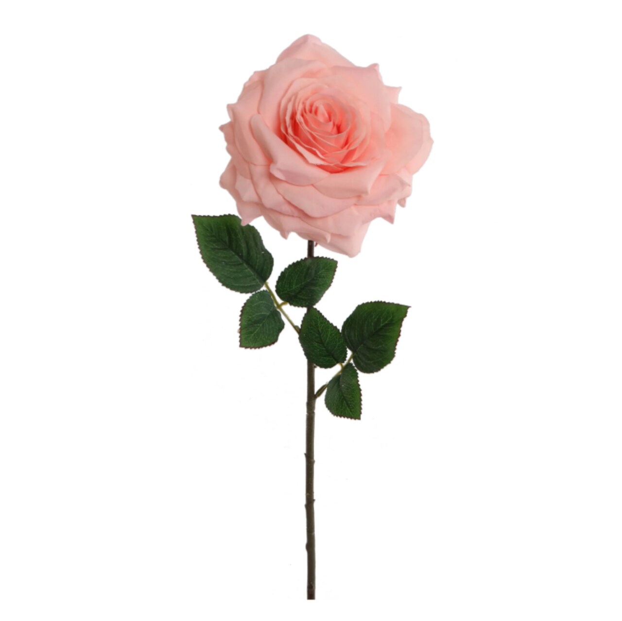 20" Open Rose Stem – 6 Pack | Realistic Silk Flowers for Décor